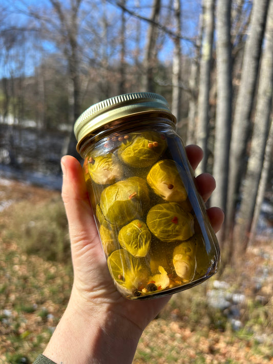 Spicy Pickled Brussel Sprouts