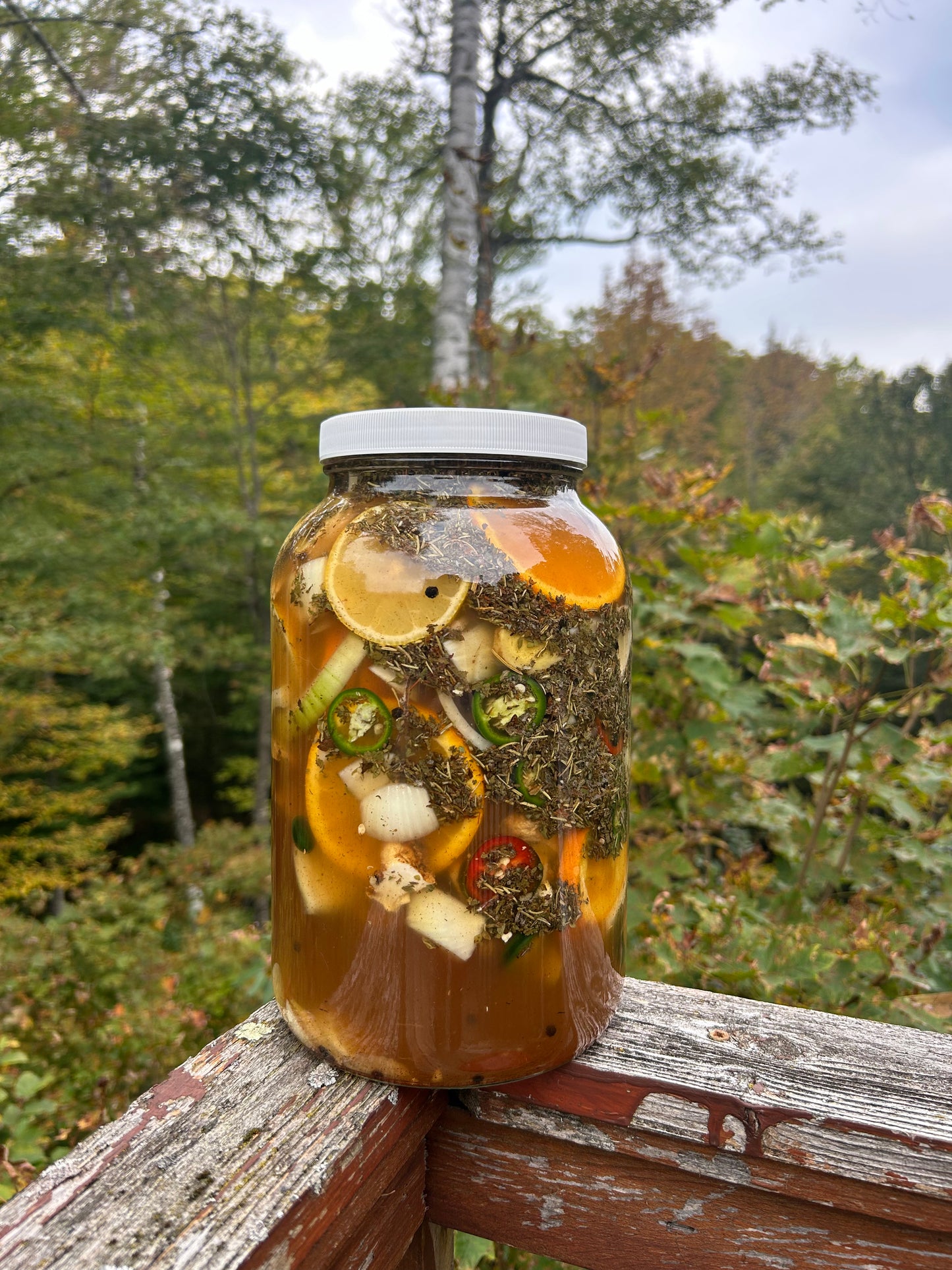 Folk Fire Cider Tonic